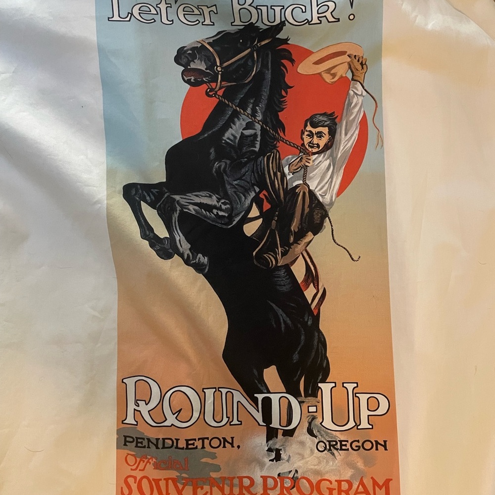 Pendleton Roundup Button Up Long Sleeve Shirt Siz… - image 4